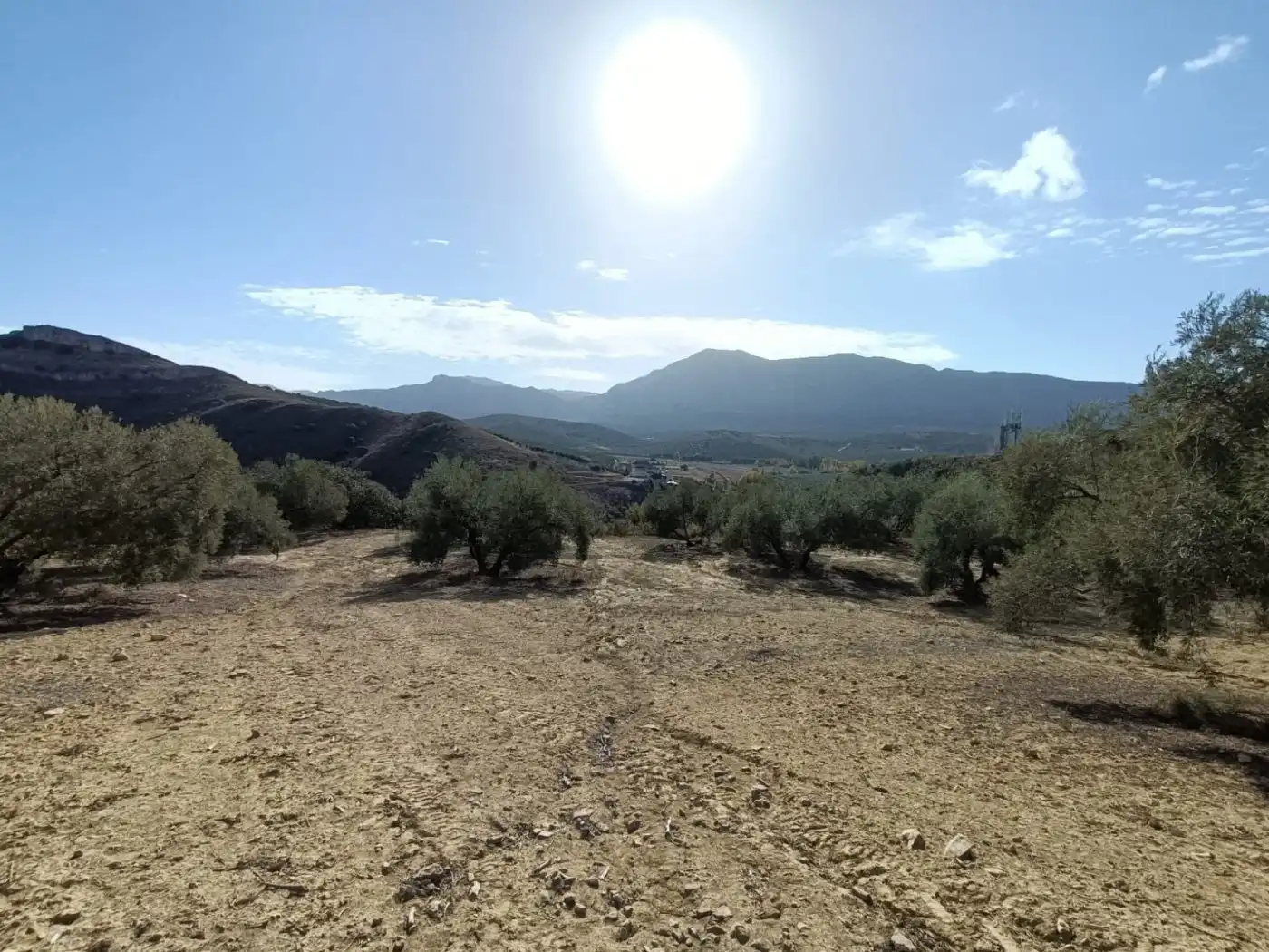 Terreni e lotti in vendita a Bobadilla - Bobadilla Estación - La Joya
