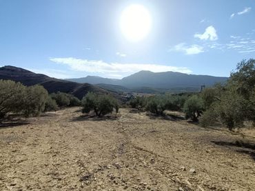 Rustikales Grundstück zum Verkauf in Bobadilla - Bobadilla Estación - La Joya