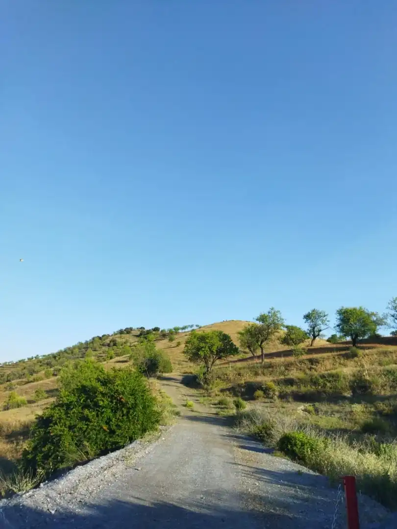 Casa rústica en venda a Puerto Lumbreras, imagen 2