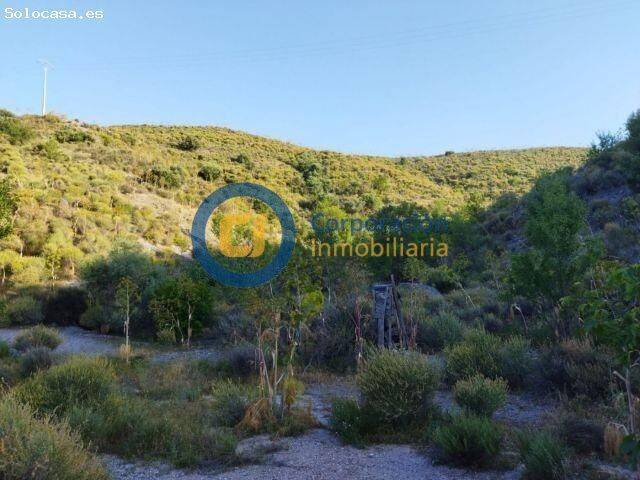 Finca rústica en Venta en Bejar