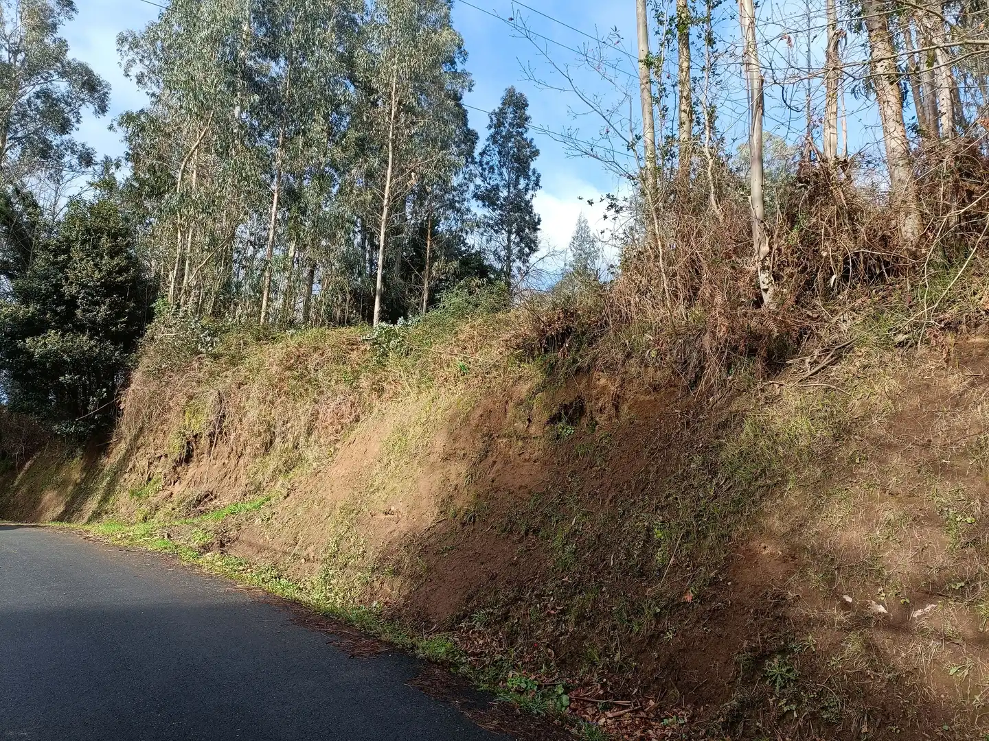 Terrain rustique à vendre à Oza dos Ríos
