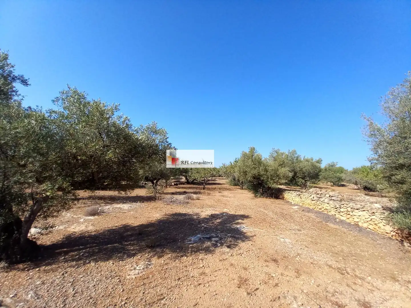 Terreno rústico en venta en L'Ampolla, imagen 22