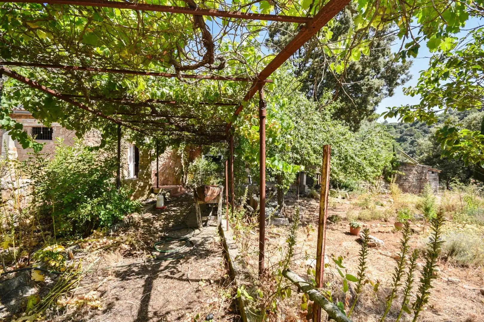 Jardín de Finca rústica en venta en Puigpunyent con Trastero
