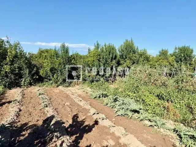 Casa amb piscina en venda a Playa - Ben Afeli, imagen 28