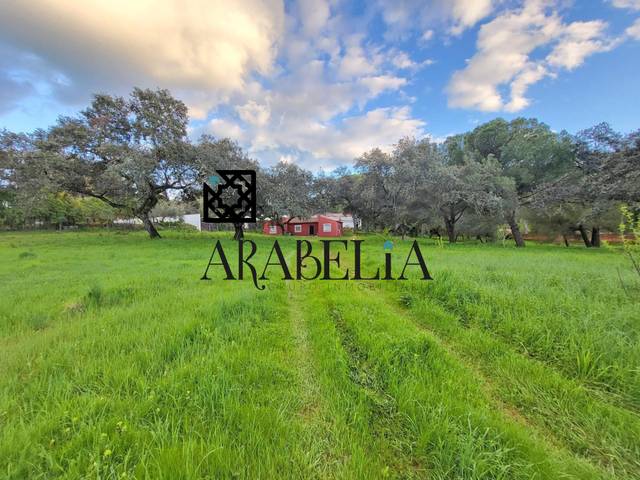 Casa-chalet en Venta en Cerro Muriano