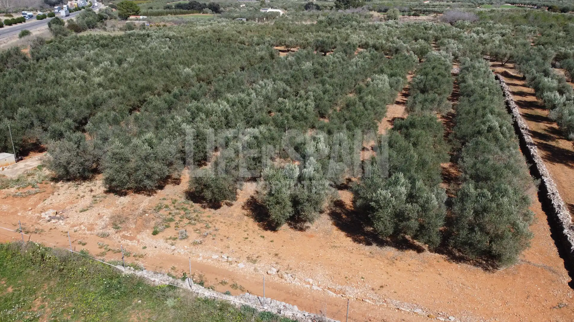 Terreno rustico in vendita a Freginals, imagen 15