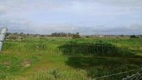 Land for sale in Trigueros