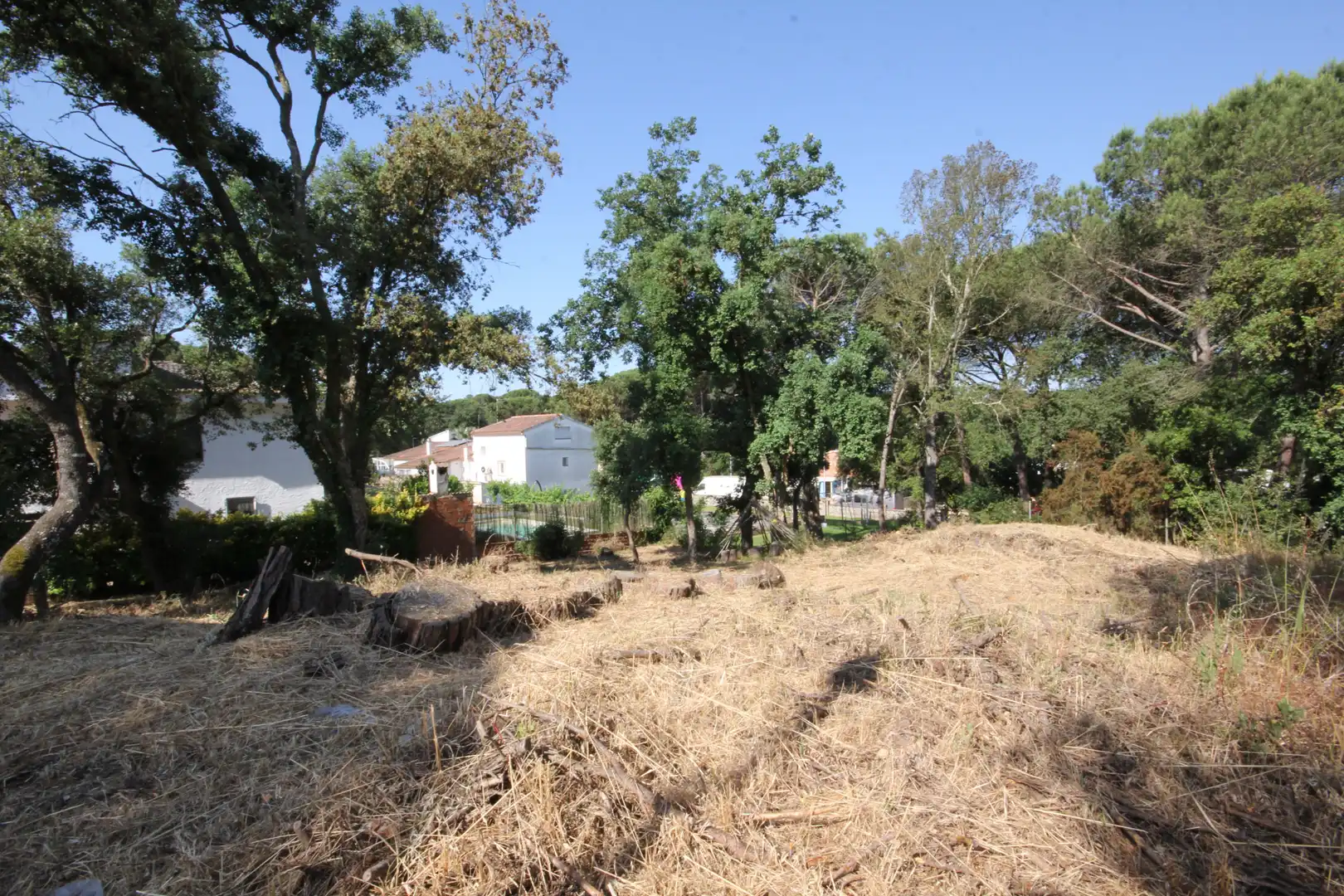 Terreny residencial en venda a Carrer Begònia, imagen 2