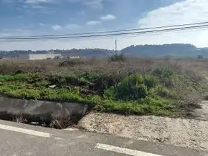 Rural land for sale in Vallmoll, imagen 9