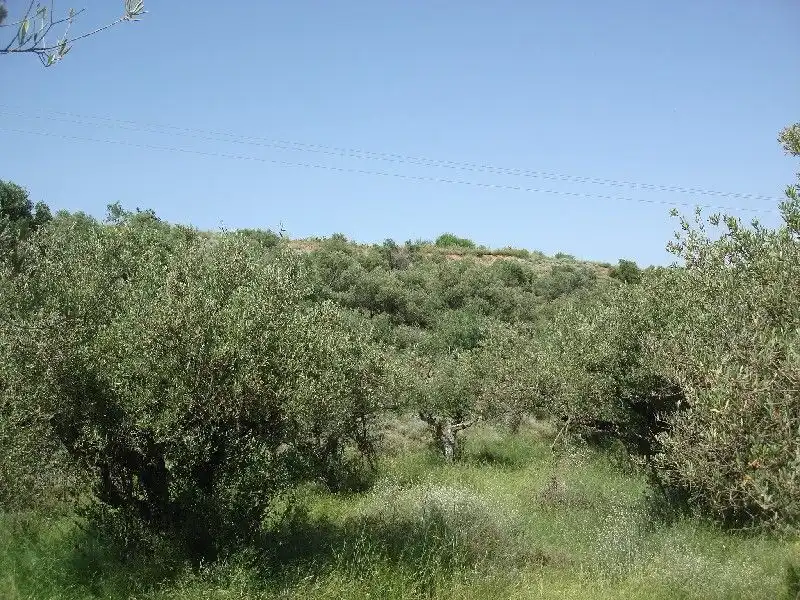 Terreny rústic en venda a Villamediana de Iregua