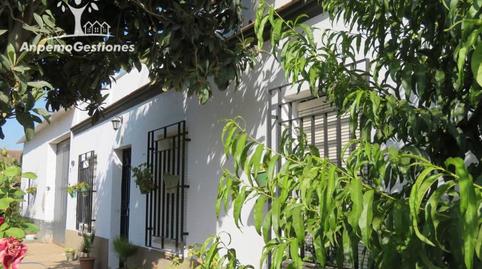 Photo 2 of House or chalet for sale in Calle Los Califas, 1, Palma del Río, Córdoba