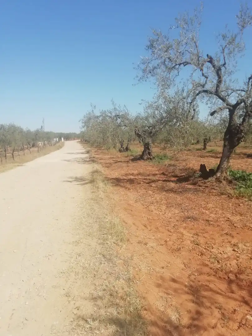 Casa rústica en venda a Sanlúcar la Mayor, imagen 6