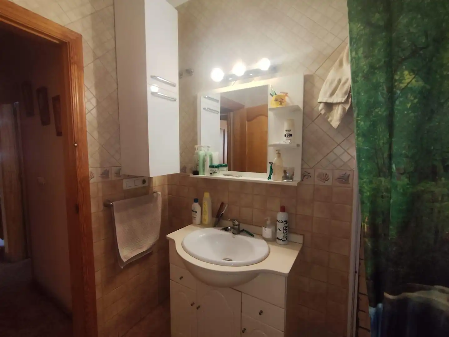 Bany de Casa o xalet en venda en Murcia