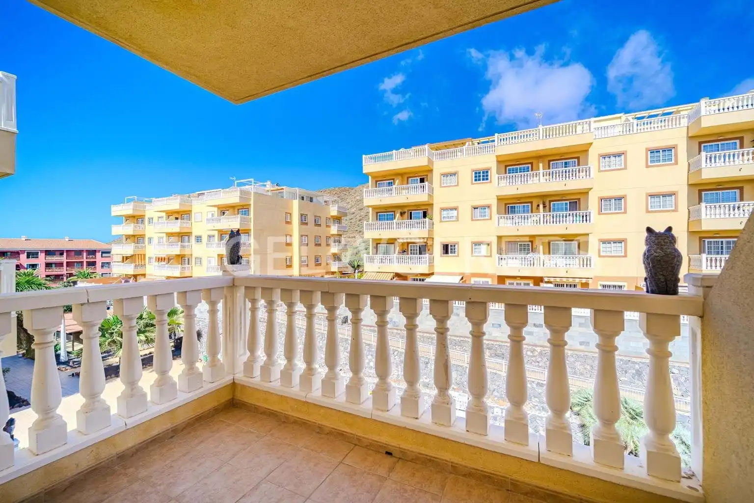 Vista exterior de Pis en venda en Arona amb Terrassa i Piscina