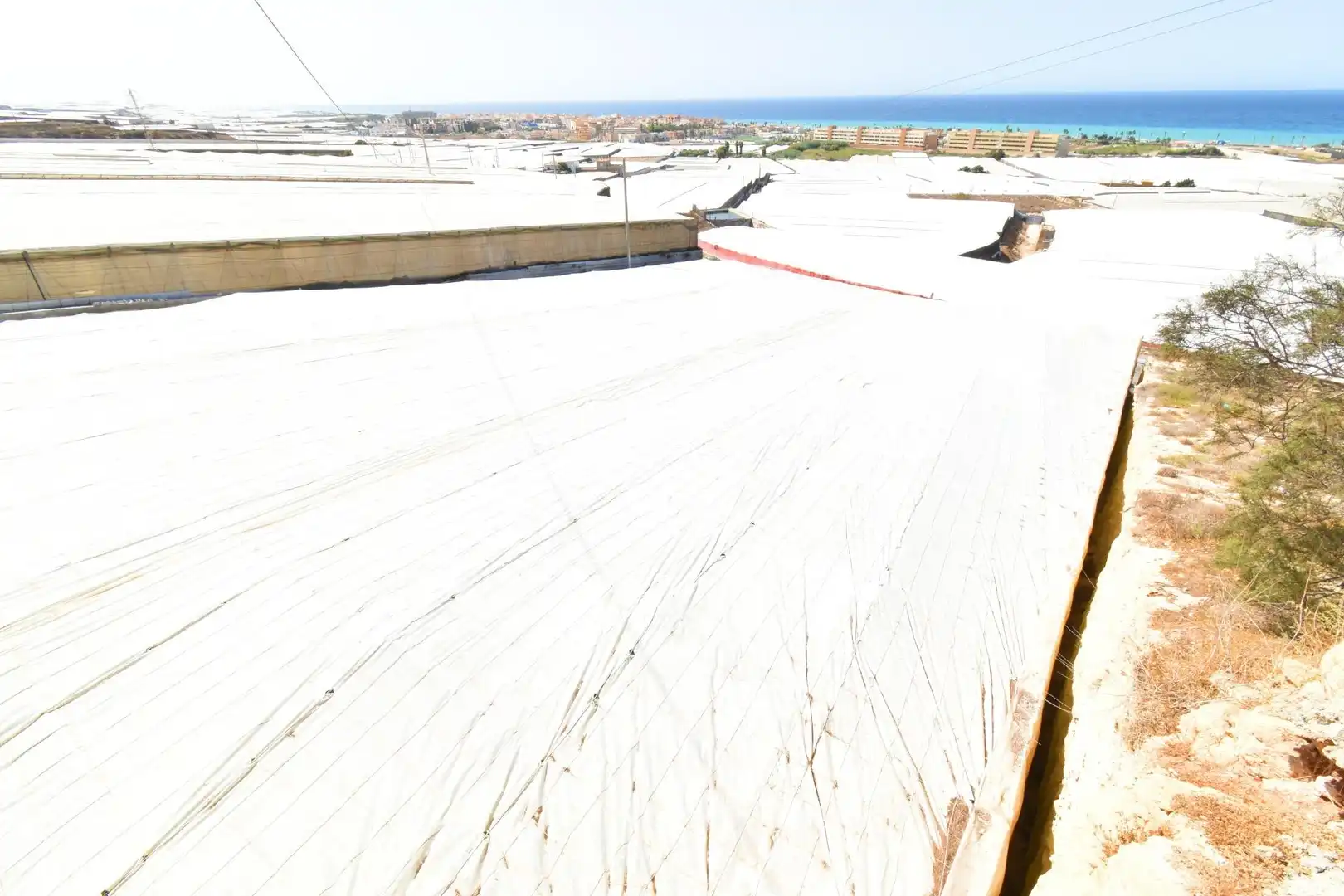 Vista exterior de Residencial en venda en El Ejido