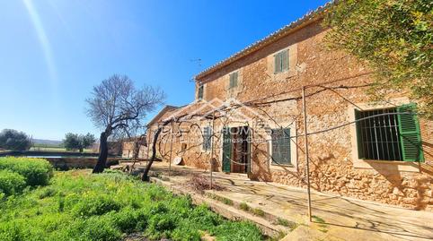 Photo 2 of Land for sale in Sa Casa Blanca, Illes Balears