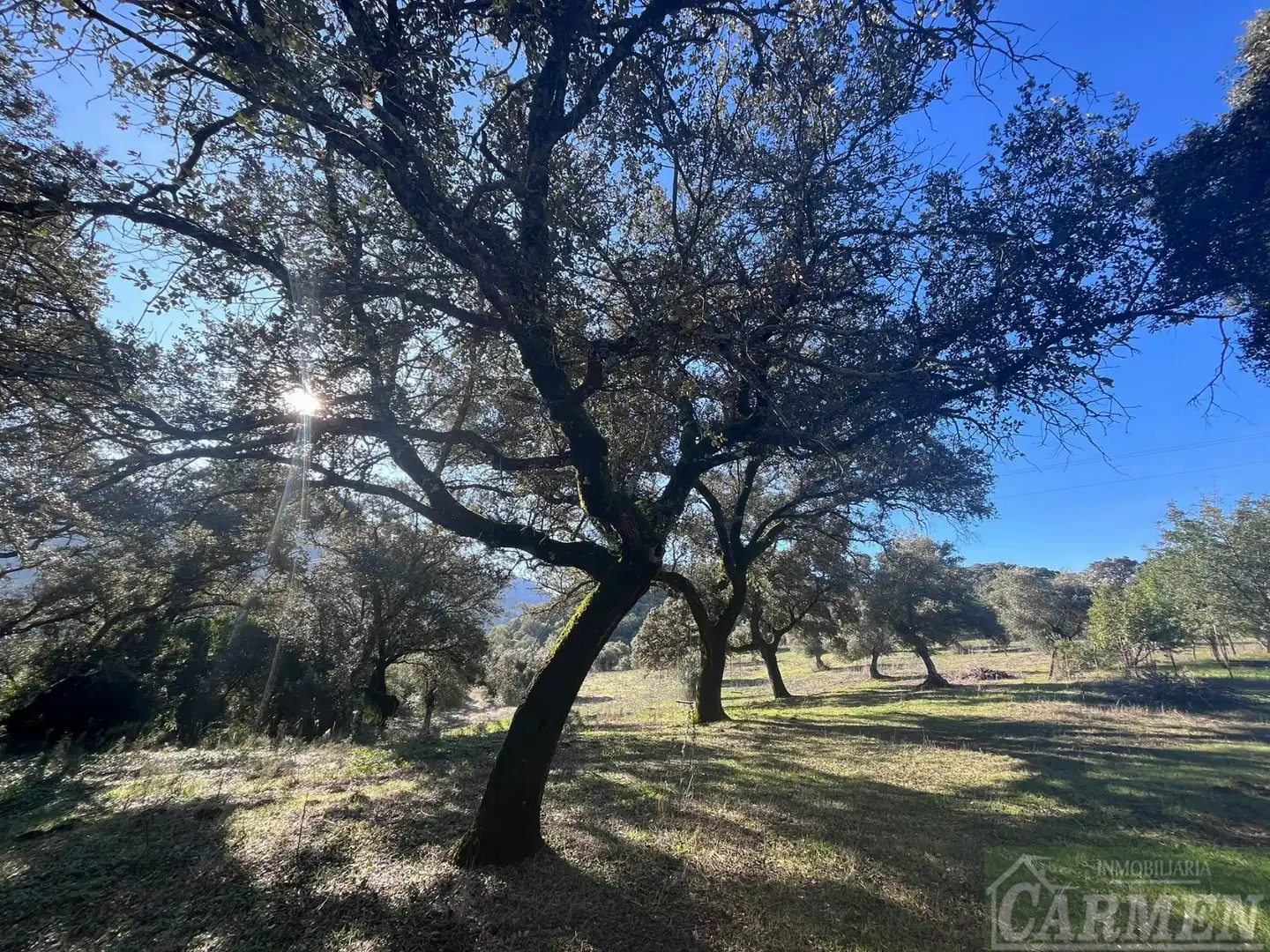 Finca rústica en venda en El Bosque