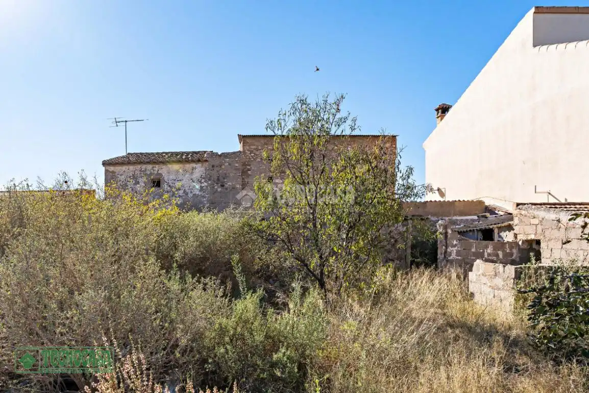 Landhaus zum Verkauf in Guazamara - Los Lobos, imagen 7