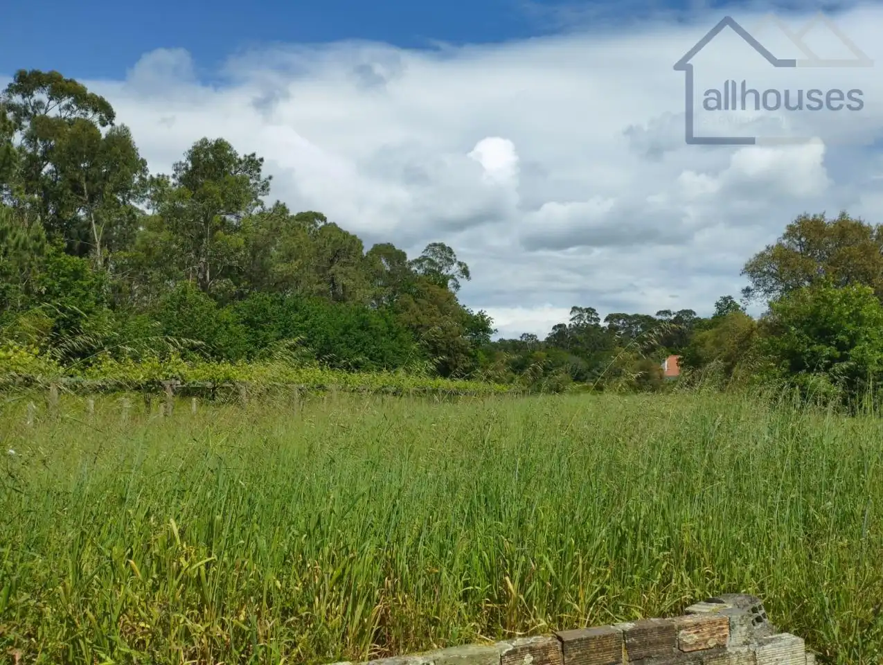 Terreno residenziale in vendita a O Rosal, imagen 17