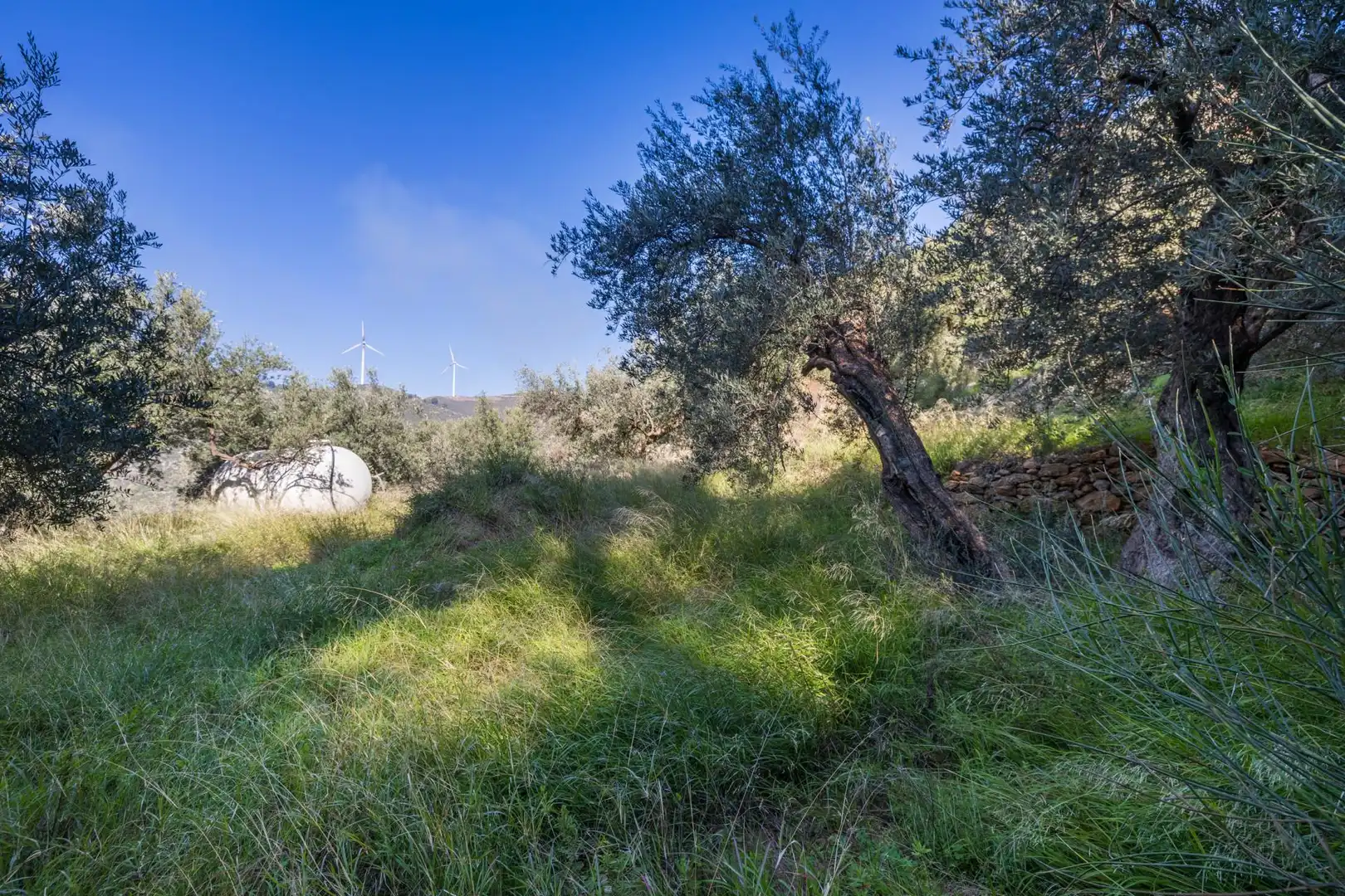 Rustikales Grundstück zum Verkauf in BARRANCO JUAN BUENO, POLIGONO 12, imagen 35