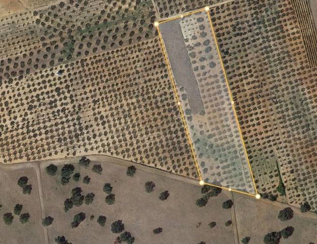 Terreno en Venta en Diseminado Diseminados en Chucena