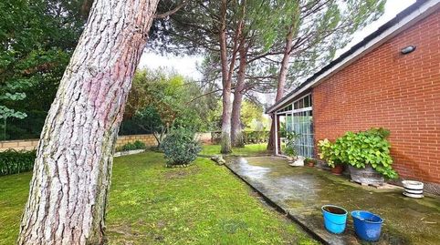 OPORTUNIDAD EN SANZ. Preciosa finca de recreo en Lardero, imagen 5