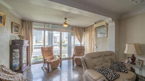 Photo 5 of Flat for sale in Centro Urbano, Benidorm