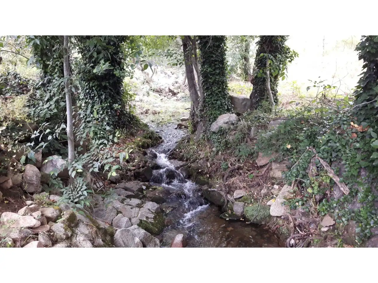 Chalet en venta en El Torno, imagen 21