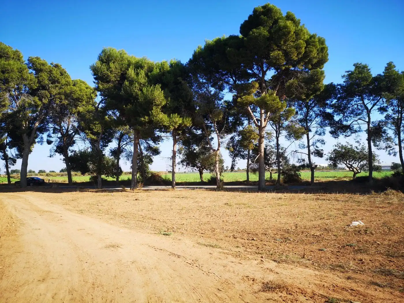 Finca rústica en venta en Cartagena