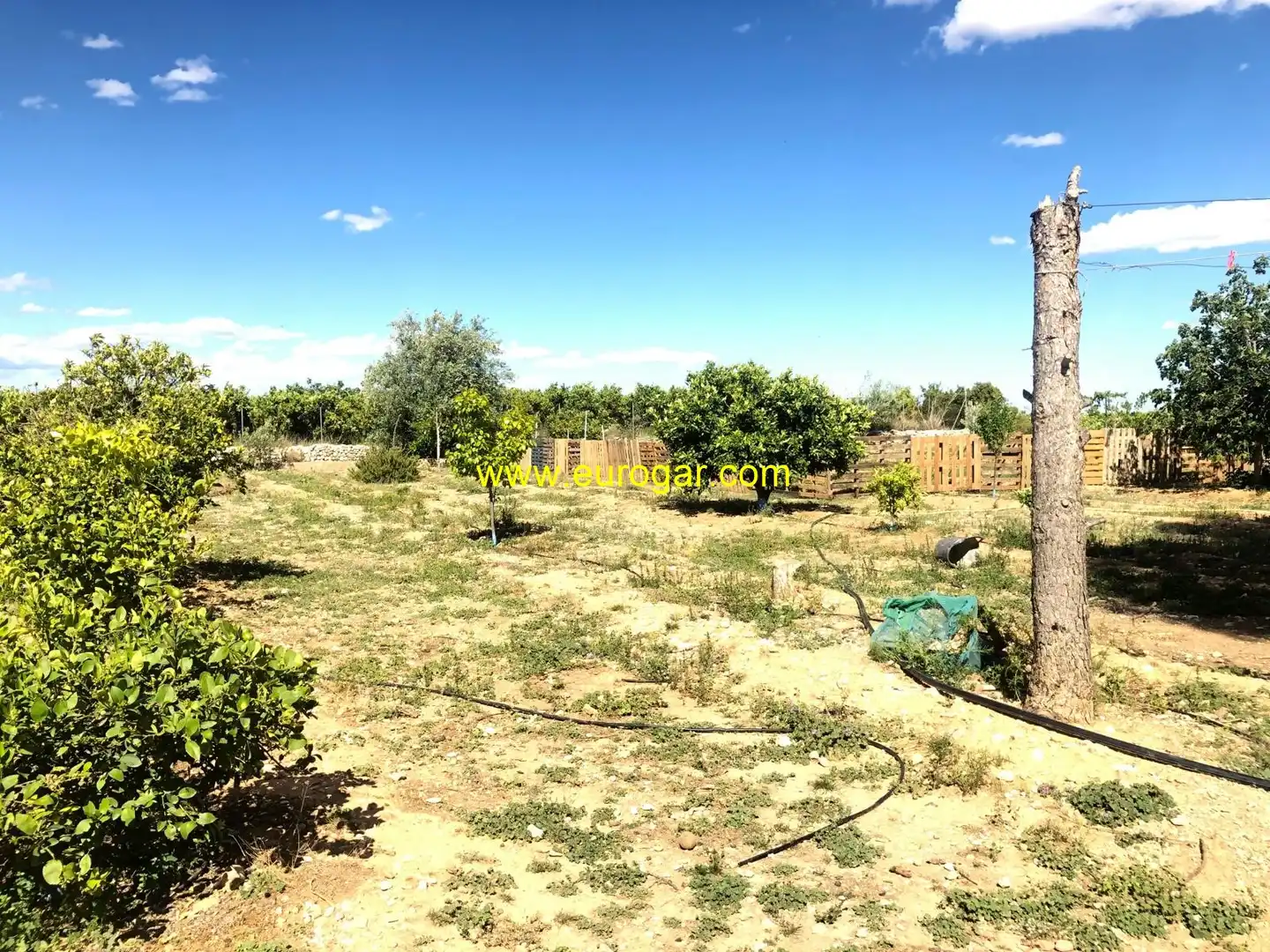 Casa o chalet en venta en Chiva con Piscina