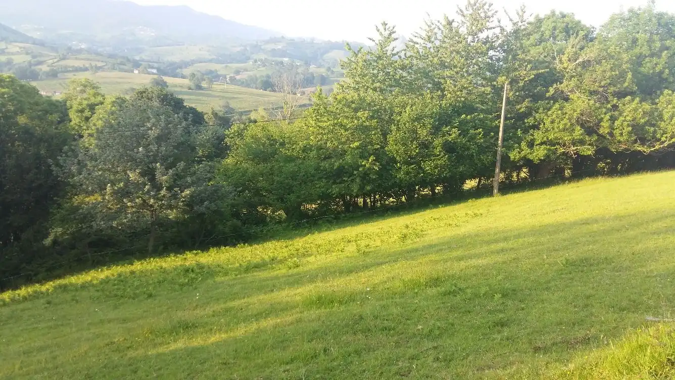 Terrenos y solares en venta en Piloña, imagen 5