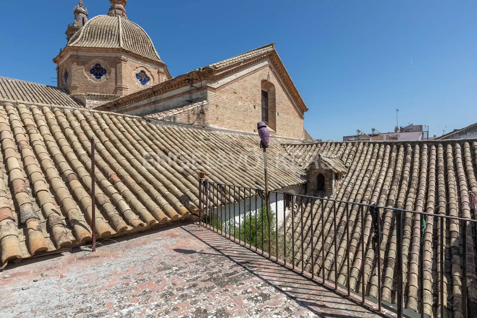 Exterior view of Houses for sale in Écija  with Air Conditioner, Heating and Private garden