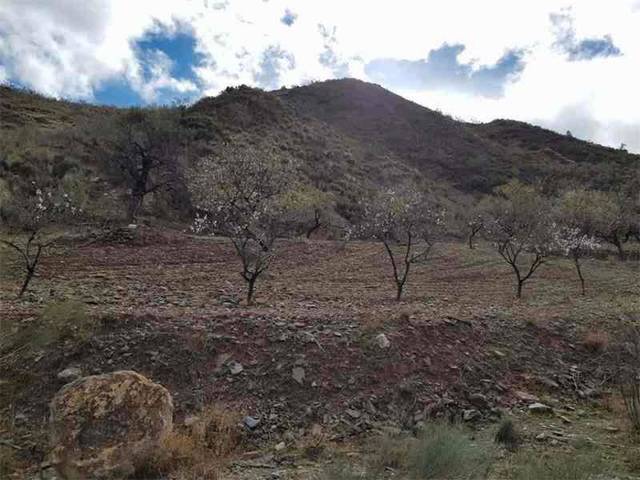 Terreno en Venta en Albánchez