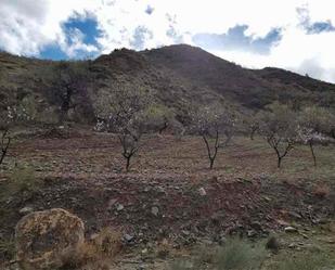 Land for sale in Albánchez