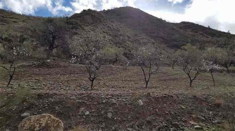 Foto 4 von Grundstücke zum Verkauf in Albánchez, Almería