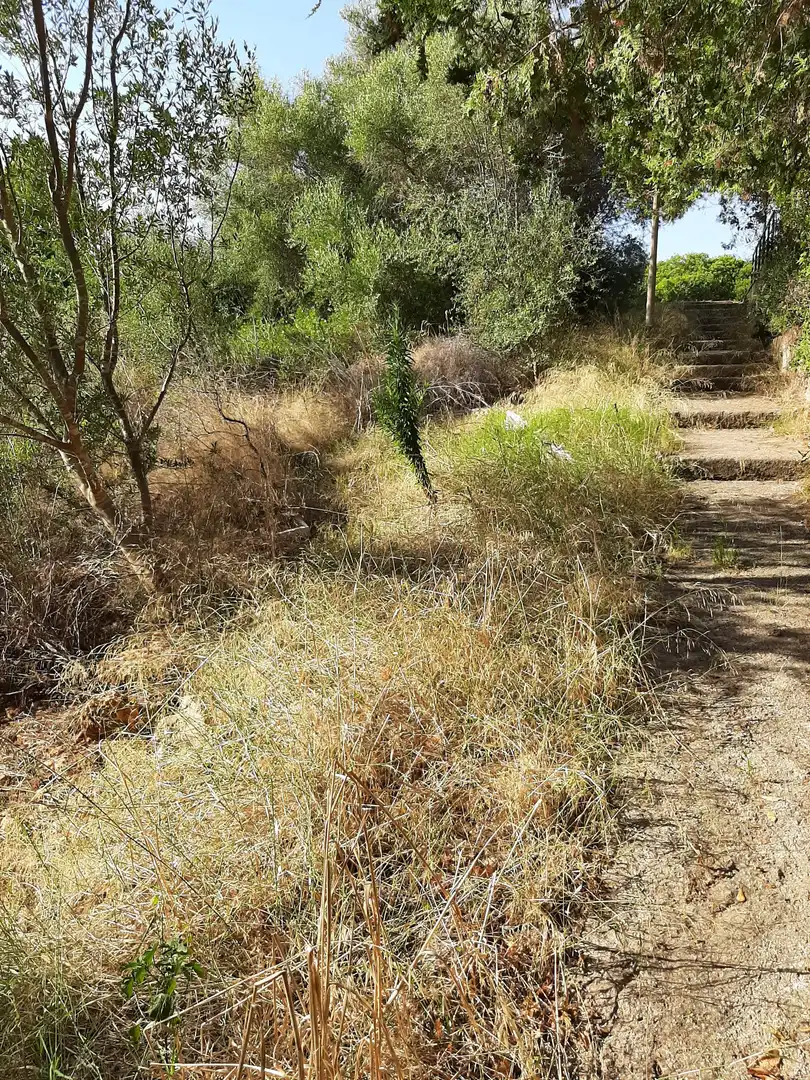 Residential land for sale in Carrer de la Punta Reina 57, imagen 9