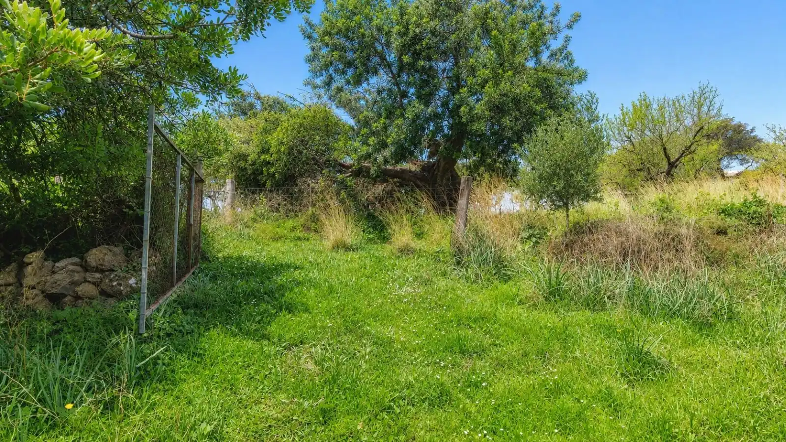 Residential for sale in Selva