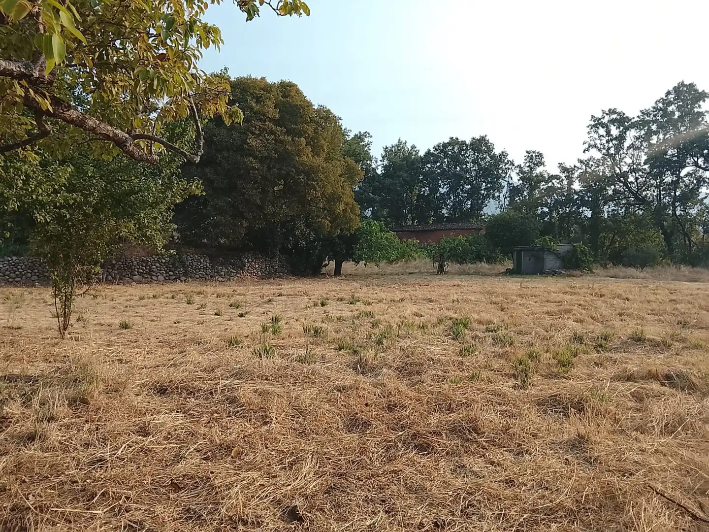 Terreni e lotti in vendita a Villanueva de la Vera, imagen 9