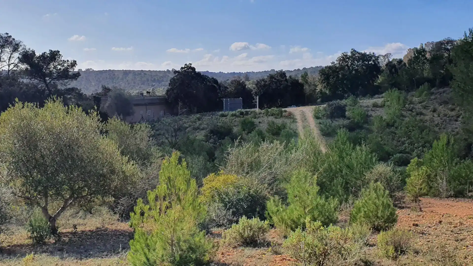 Terreny en venda en Costitx