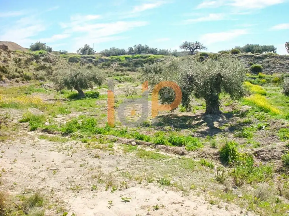 Terrain rustique à vendre à Huércal-Overa