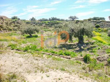 Terreno rustico in vendita a Huércal-Overa