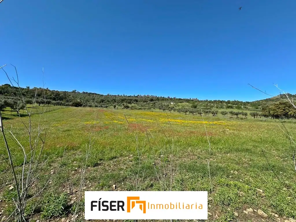 Terreno rustico in vendita a Diseminado Peralas, imagen 2