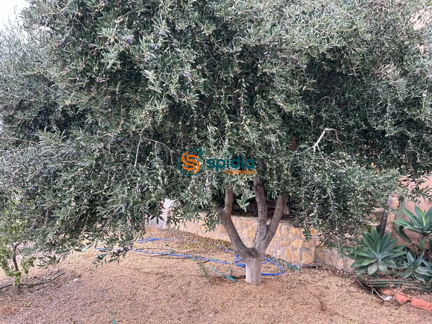 Jardín de Casa o chalet en venta en Águilas con Calefacción, Jardín privado y Terraza