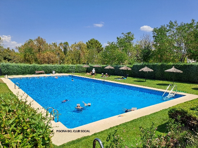 Piscina de Casa o xalet en venda en Valdemorillo amb Aire condicionat, Jardí privat i Terrassa