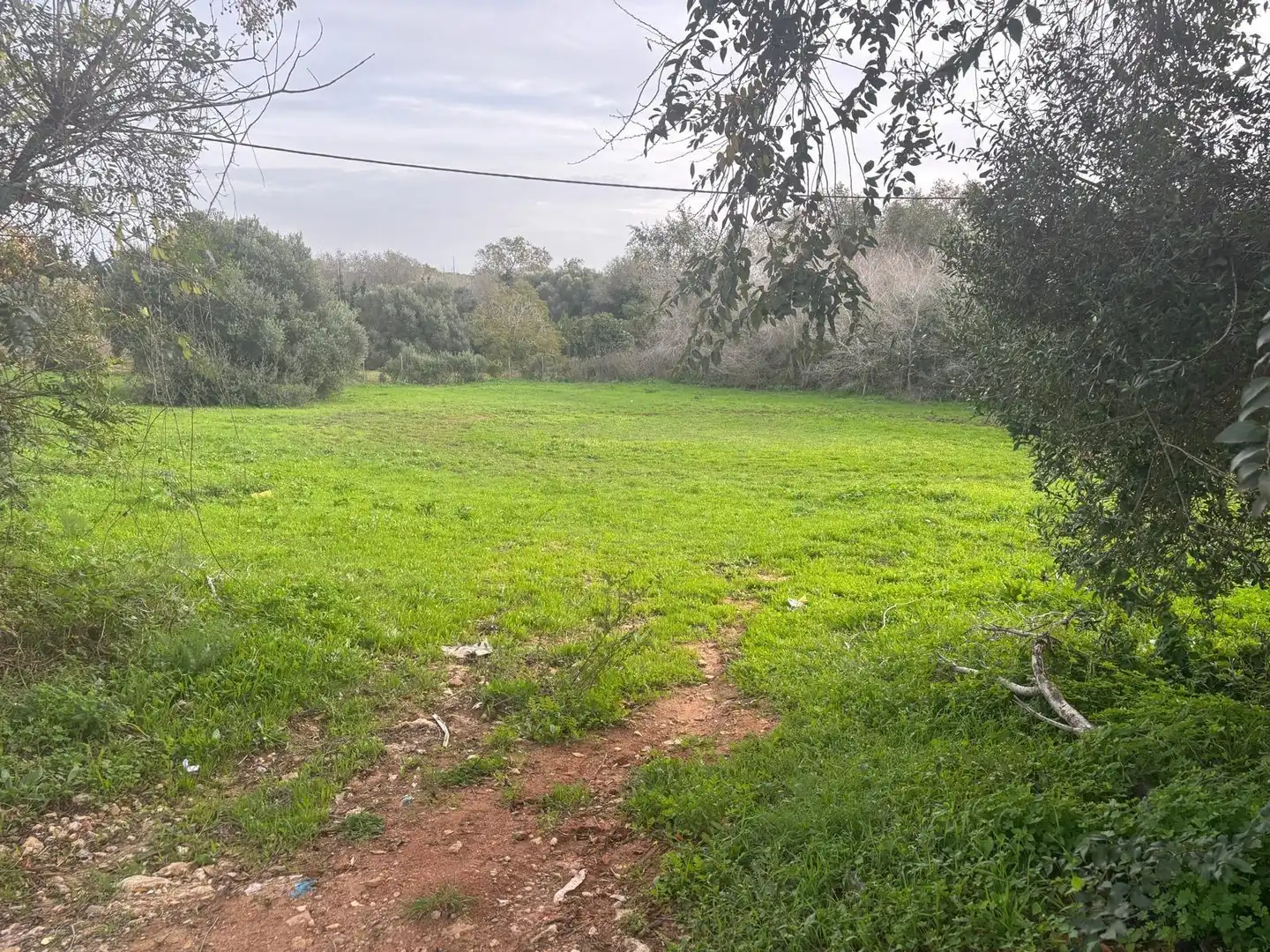 Terreno en venta en Vejer de la Frontera