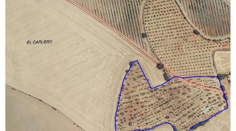 Terreno en venta en Carmona, immagine 3