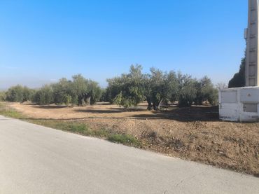 Terreno residenziale in vendita a Mengíbar