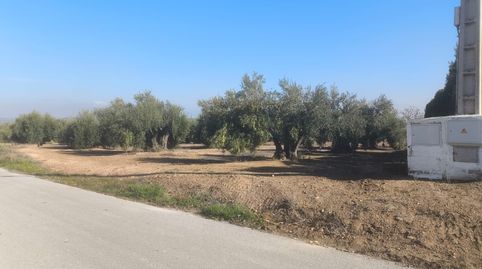 Se vende gran solar junto al municipio de Mengibar