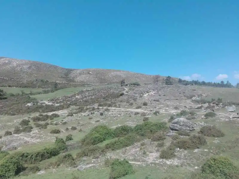 Land for sale in Entrimo