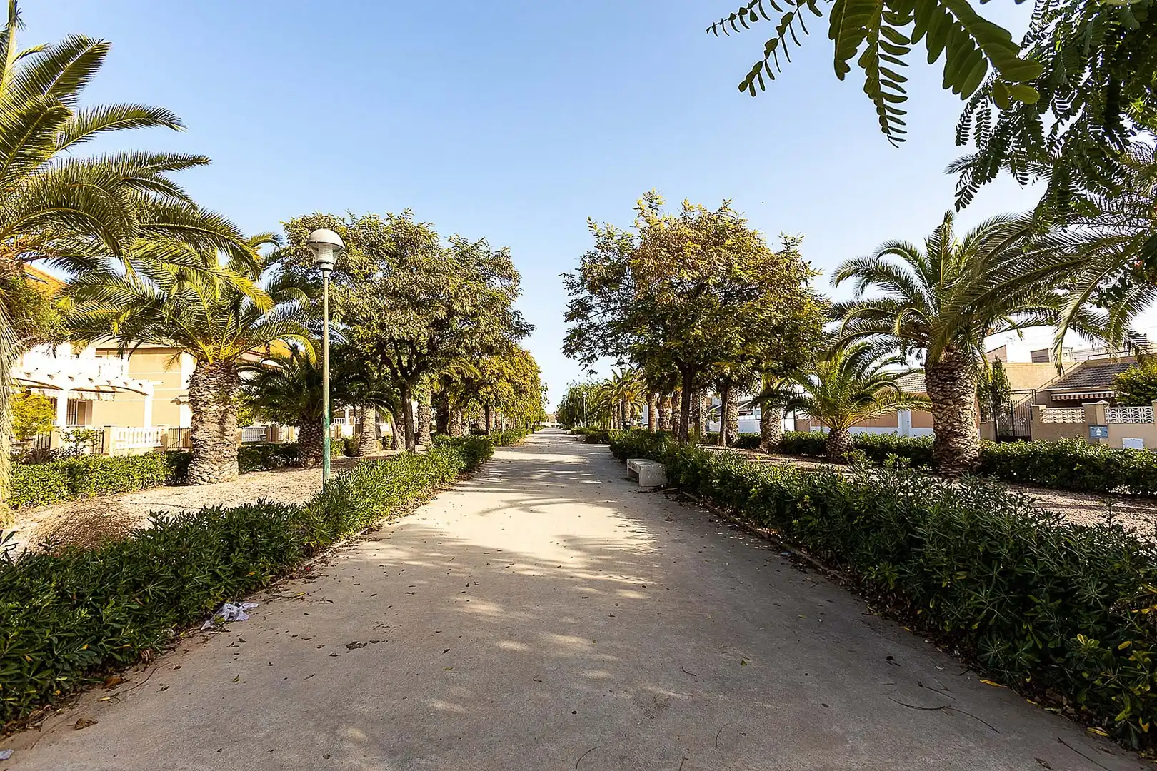 Apartamento con piscina en venta en Pilar de la Horadada ciudad, imagen 16
